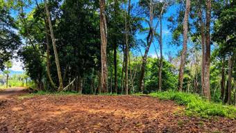 SE VENDE TERRENO LISTO PARA CONSTRUIR CON NACIENTE PROPIA Y CLIMA PERFECTO