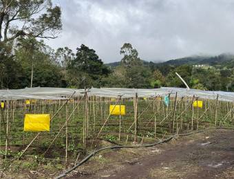 Land near Route 32, San Isidro de Heredia, 18,406 sq. mtrs