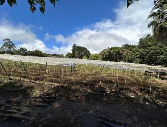Terreno cerca de ruta 32, San Isidro de Heredia, 18,406 mtrs2