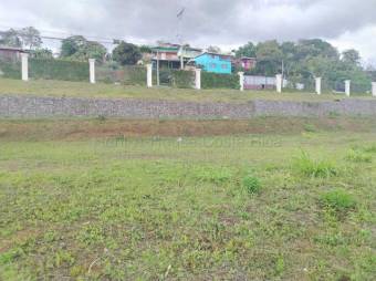 Lote Venta Carrizal