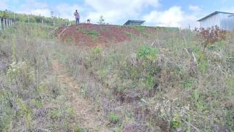 Terreno Venta Sabana Redonda Poás
