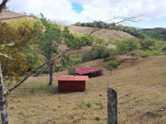 Terreno Venta San Ramón Alajuela
