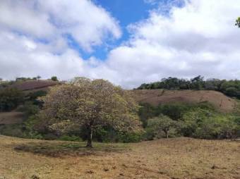 Terreno Venta San Ramón Alajuela