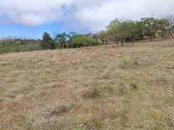 Terreno Venta San Ramón Alajuela