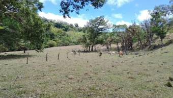 Terreno Venta San Ramón Alajuela