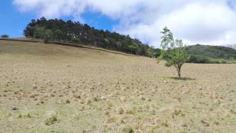 Terreno Venta San Ramón Alajuela