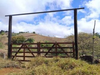 Terreno Venta San Ramón Alajuela