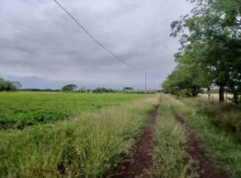 Venta de Lote  Bodega en Carrillo de Guanacaste. RAH 27-154 Uso de Suelo Mixto 