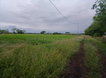 Venta de Lote  Bodega en Carrillo de Guanacaste. RAH 27-154 Uso de Suelo Mixto 
