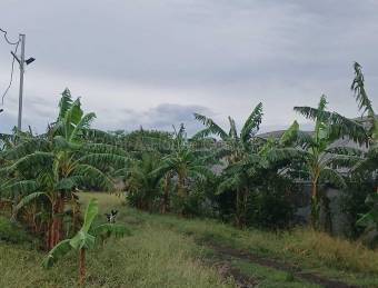 Venta de Lote  Bodega en Carrillo de Guanacaste. RAH 27-154 Uso de Suelo Mixto 