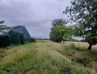 Venta de Lote  Bodega en Carrillo de Guanacaste. RAH 27-154 Uso de Suelo Mixto 