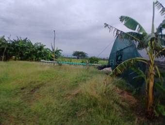 Venta de Lote  Bodega en Carrillo de Guanacaste. RAH 27-154 Uso de Suelo Mixto 