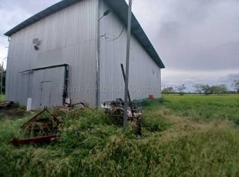 Venta de Lote  Bodega en Carrillo de Guanacaste. RAH 27-154 Uso de Suelo Mixto 