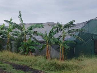 Venta de Lote  Bodega en Carrillo de Guanacaste. RAH 27-154 Uso de Suelo Mixto 