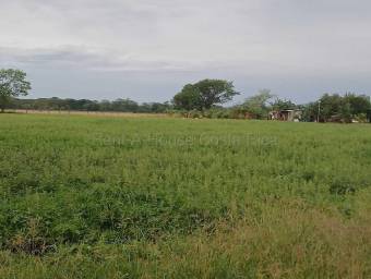 Venta de Lote  Bodega en Carrillo de Guanacaste. RAH 27-154 Uso de Suelo Mixto 
