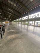 ALQUILER DE BODEGA, SAN JOSÉ, SANTA ANA, POZOS, LINDORA - 10208396