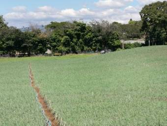 Venta de Finca en San Rafael de Alajuela. RAH 26-967 
