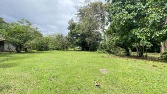Lote Venta Guápiles