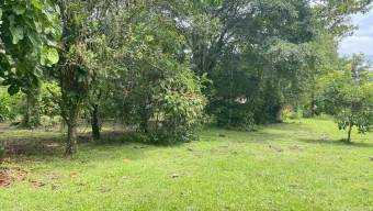 Lote Venta Guápiles