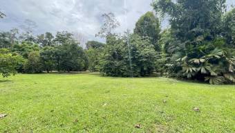 Lote Venta Guápiles