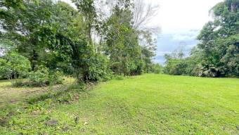Lote Venta Guápiles