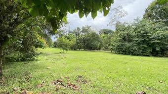 Lote Venta Guápiles