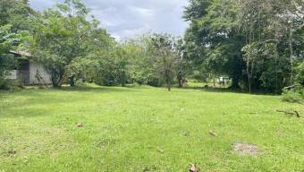 Lote Venta Guápiles