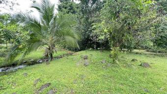 Lote Venta Guápiles