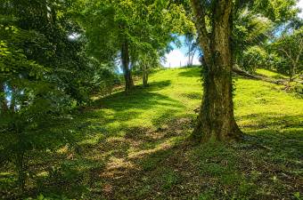 BUILD YOUR DREAM HOME AT NATIVA RESORT, COSTA RICA 