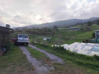 Local Venta Poasito, ₡ 600,000,000, 5, Alajuela, Alajuela
