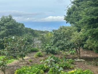Venta de finca con bodega, casa y vistas panorámicas en Heredia #27-180 GS