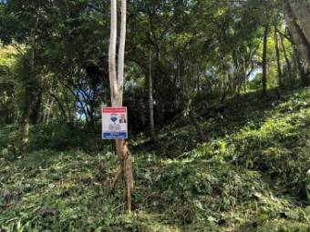 FIRE SALE!!!!! Lot located in Manuel Antonio Quepos, and close to shops and restaurants
