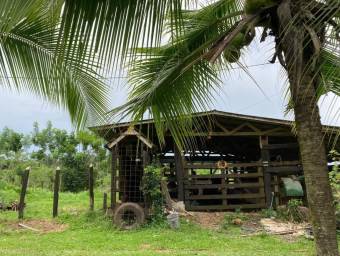 Se vende hermosa finca en Guácimo - Río Jimenez