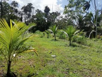 Se vende hermosa finca en Guácimo - Río Jimenez