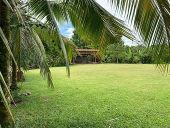 Se vende hermosa finca en Guácimo - Río Jimenez