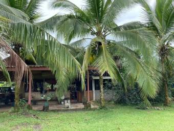 Beautiful farm for sale in Guácimo - Río Jimenez