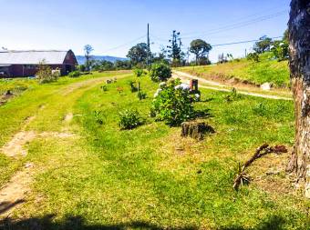 Venta de terreno con Restaurante en El Guarco de Cartago.