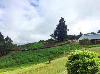 Venta de Terreno en El  Guarco, Cartago.