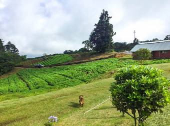 Venta de Terreno en El  Guarco, Cartago.