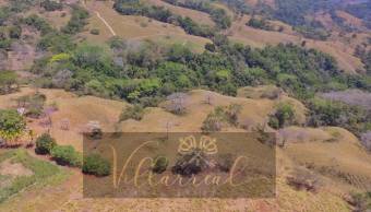 V#261 Grandiosa Finca con Casa en Venta/Guanacaste