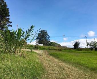 Lote San Nicolás de Cartago