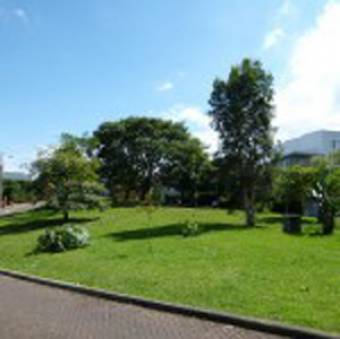 Apartamento Loft alquiler en Bello Horizonte, Escazu. Cod.1073633