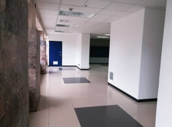 Oficinas-local en Alquiler en San Jose, Sabana Sur, -1109366