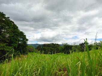 Propiedad con excelente ubicación en Pérez Zeledón Propiedad con excelente ubicación en Pérez Zeledón