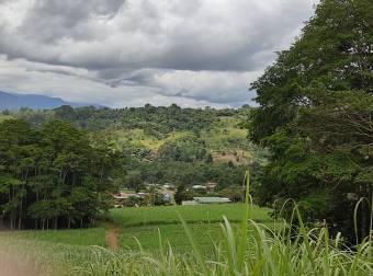 Propiedad con excelente ubicación en Pérez Zeledón Propiedad con excelente ubicación en Pérez Zeledón