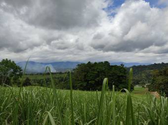 Propiedad con excelente ubicación en Pérez Zeledón Propiedad con excelente ubicación en Pérez Zeledón