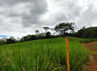 Propiedad con excelente ubicación en Pérez Zeledón Propiedad con excelente ubicación en Pérez Zeledón
