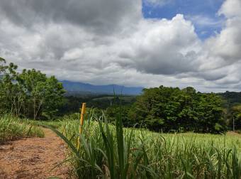 Propiedad con excelente ubicación en Pérez Zeledón Propiedad con excelente ubicación en Pérez Zeledón