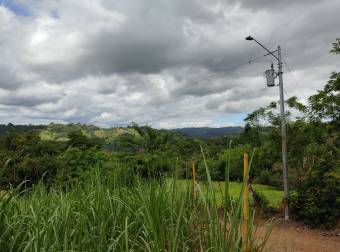 Propiedad con excelente ubicación en Pérez Zeledón Propiedad con excelente ubicación en Pérez Zeledón