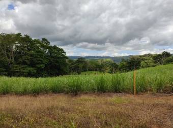 Propiedad con excelente ubicación en Pérez Zeledón